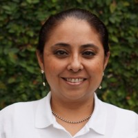 LILIAN PEREZ VILLARINO