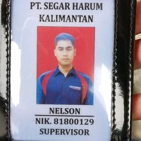 Nel Son
