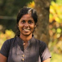 Arya Raju