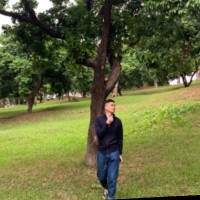 陈阳东