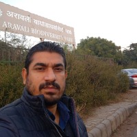 Kevin Mishra