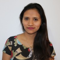 Luz Dayana Alarcón Cárdenas