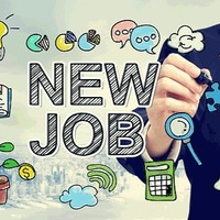 Job Portal