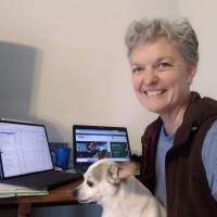 Judy Costello