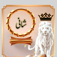 Shani Niazi