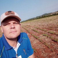 Anterione Alesson Linke