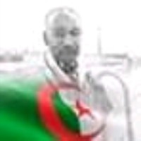 Salah Salmi
