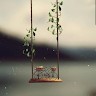 sam hanif