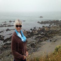 Judi Steeves