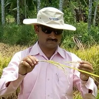 Dr. DHEERENDRA KUMAR