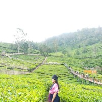 Osly Ranum