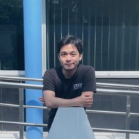 Dang-Nguyen Nguyen D.