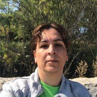 Parisa Rahimi