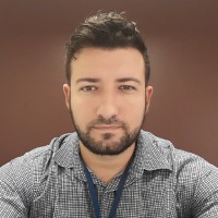 Luis Carlos Gonçalves Domingues