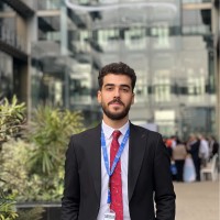 Abdelrahman Gamal