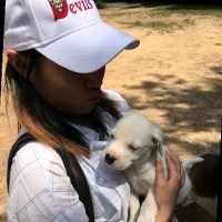 Haohao Beth