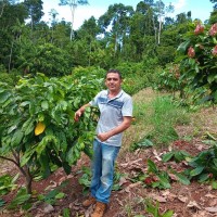 Alexandre Batista da Costa