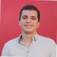 Mohammed E. El-Seoudi