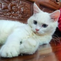 Nur Nazirah
