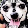 Randy Sidebottom