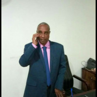 Mohamed Seed Ahmed A Elmajeed