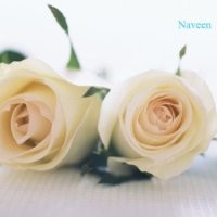 Naveen Kumar