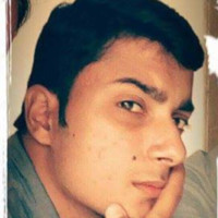 Anshu Ludhiana Wb