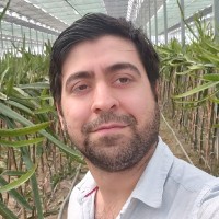 Selçuk Binici