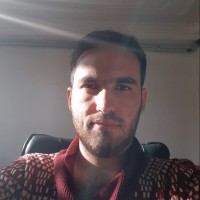 Saeed Mirzaee