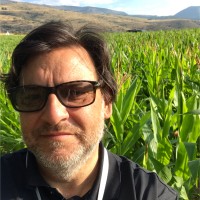 Jm Creus Salvadó