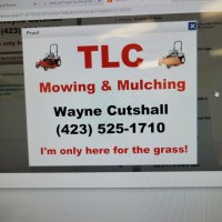 Wayne Cutshall