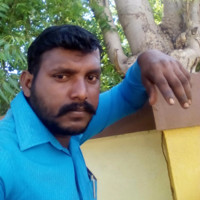 Mayil Mayil