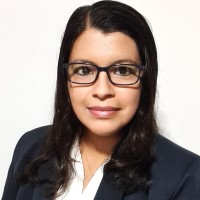 María del Carmen Vidal Iparraguirre