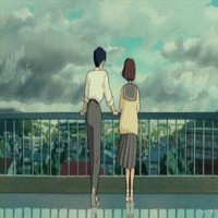 张向雨