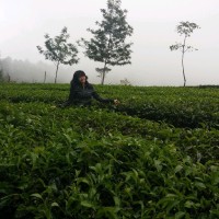 Mita Septianingsih