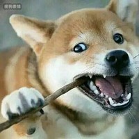 高增辉