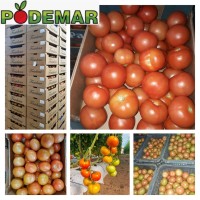 Patricia Hoyos Osorio