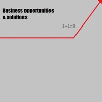Business Developer