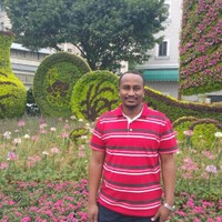 Eltayeb Abdelmagied