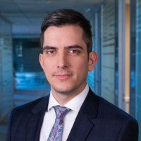 Adam Meszaros, Cfa, Frm