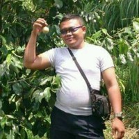 Ari Utomo