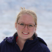 Lisanne Van Veen - Roest