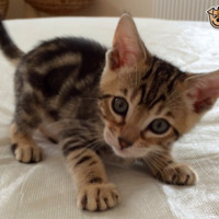 UFH Technologies Richard Barrett