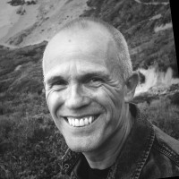Ton van der Scheer
