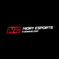 Niory Esports