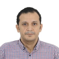 Walid Bahgat