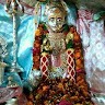 ashu day