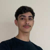 Luiz Felipe Lenharo
