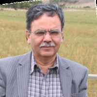 Dr Mohammad Umer Adil