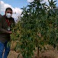 Jose Luis Hernandez Castillo